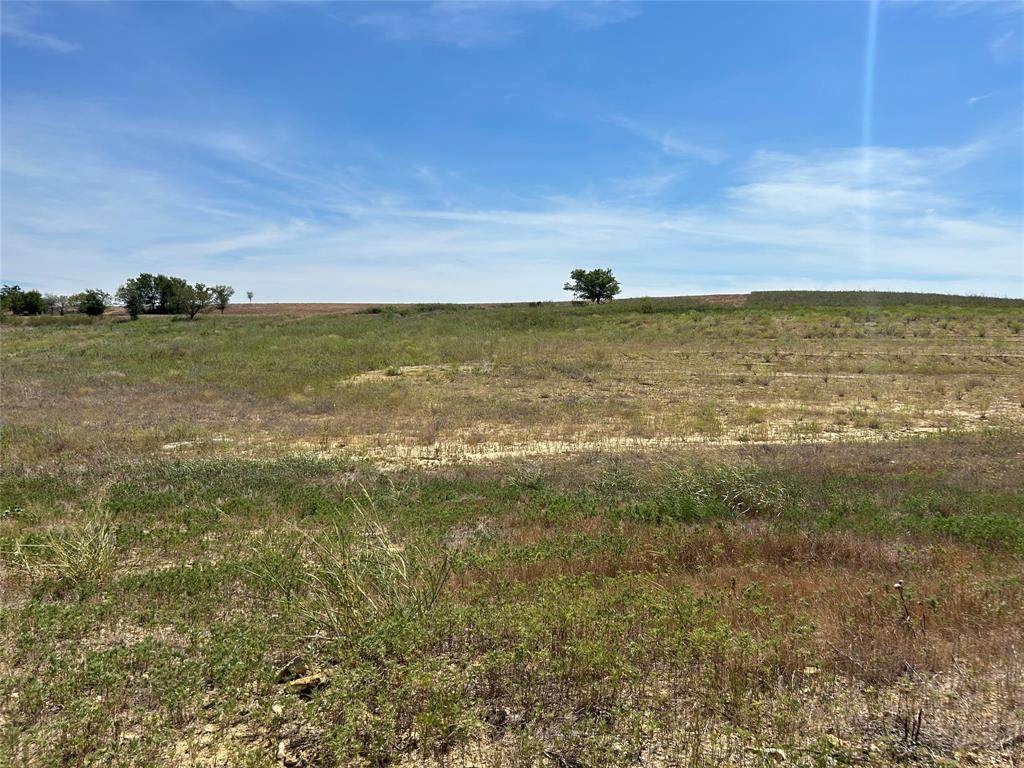 1033 Bear Creek Ranch Road - Photo 1