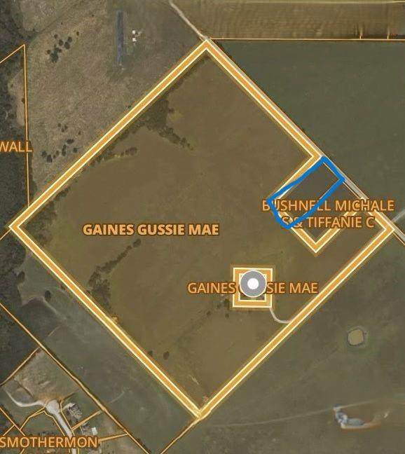 000 Dowell Road - Photo 1