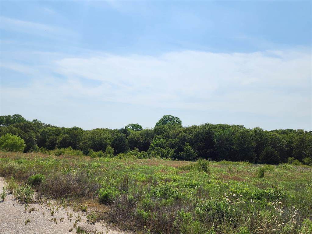 301 Timber Trail - Photo 1