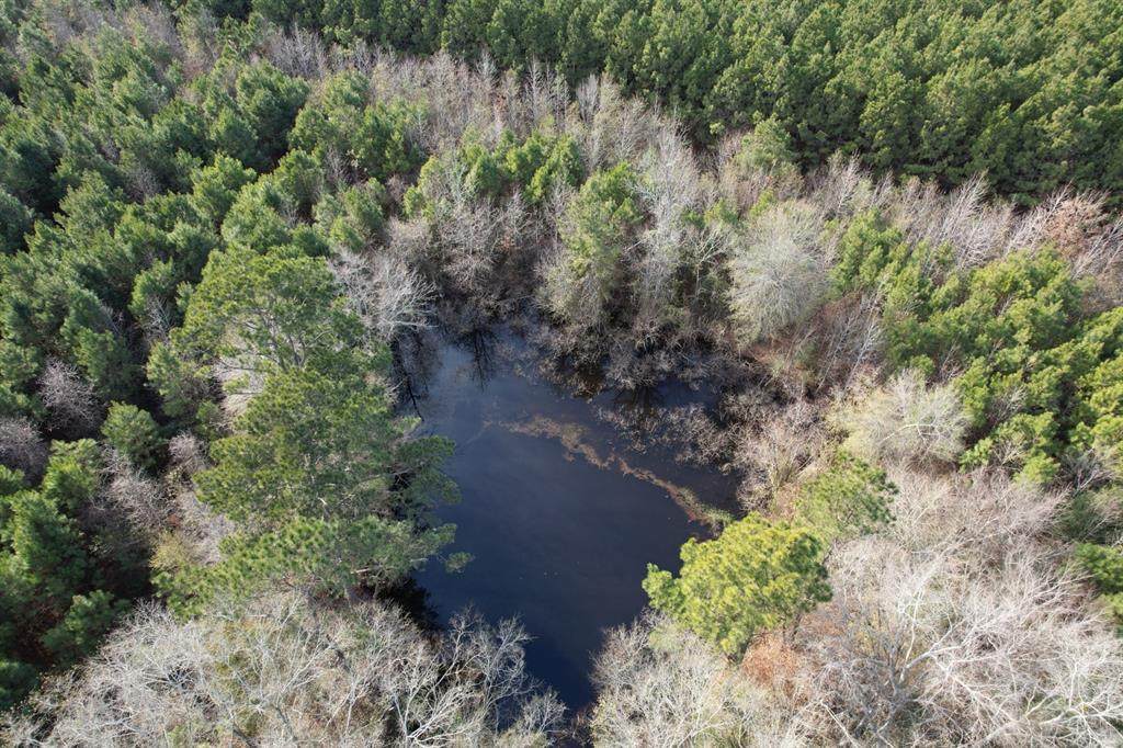 Tract D County Road 4037 - Photo 1