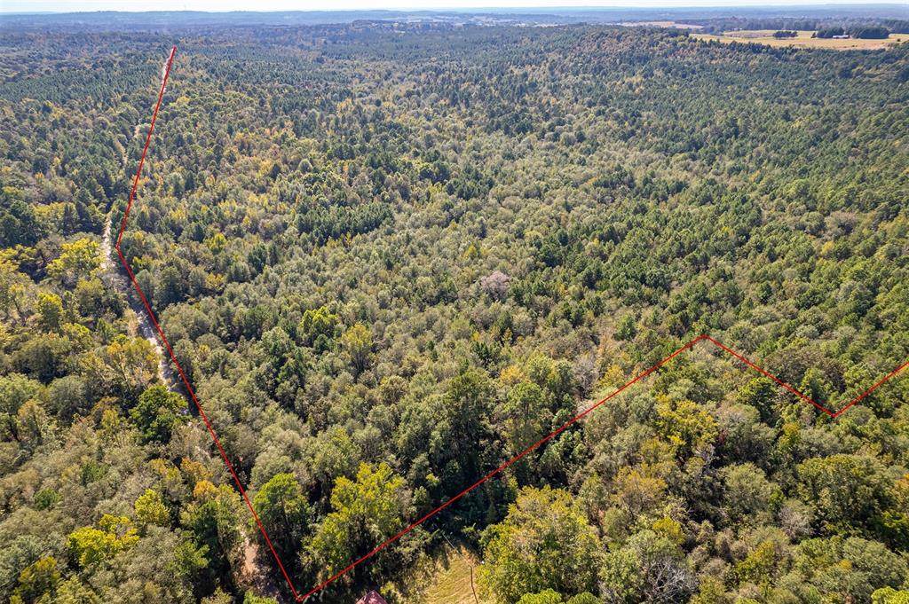 000 Cr-359 - Photo 1