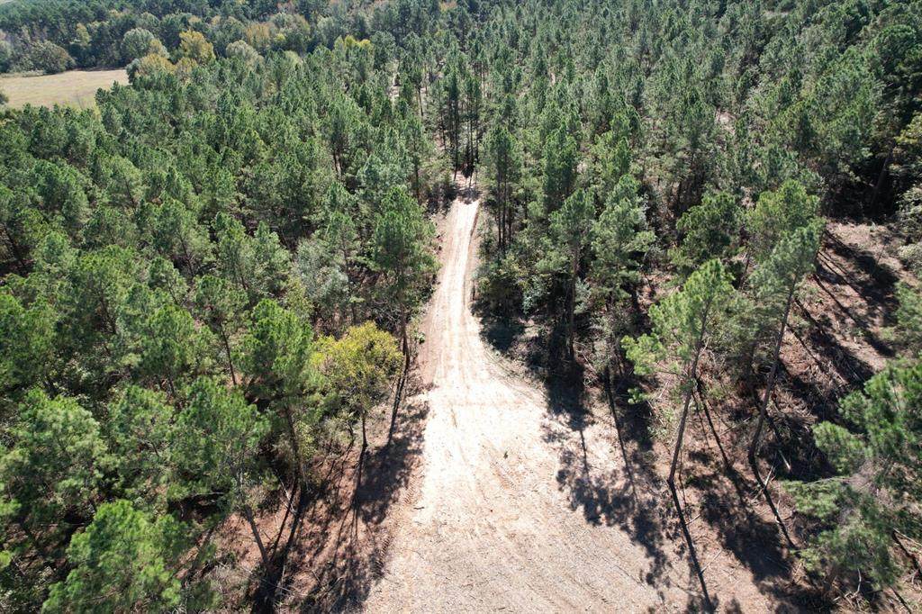 TBD-A Hwy 84 - Photo 1