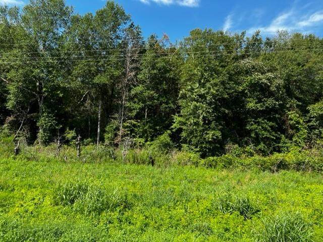000 Hwy 75 South - Photo 1
