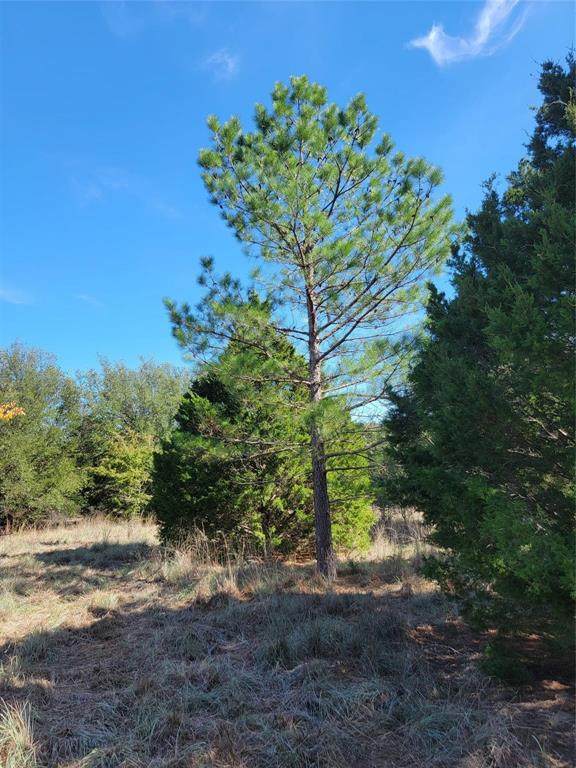 TBD Phillips Drive - Photo 1