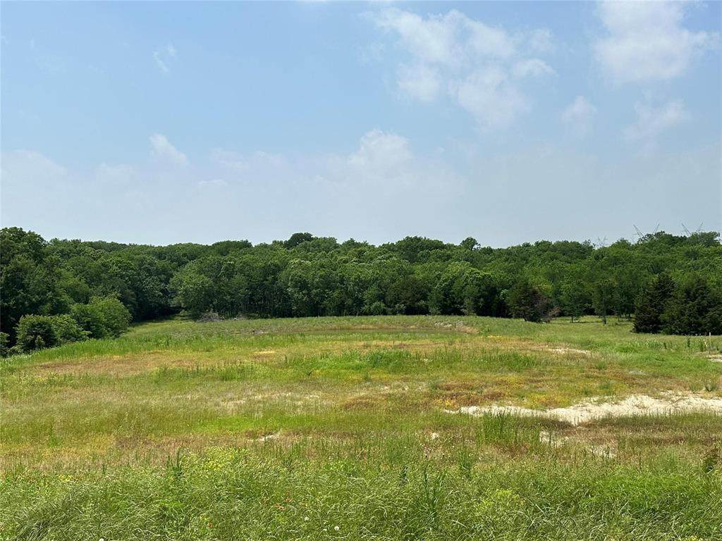 1829 Old Millwood Road - Photo 1