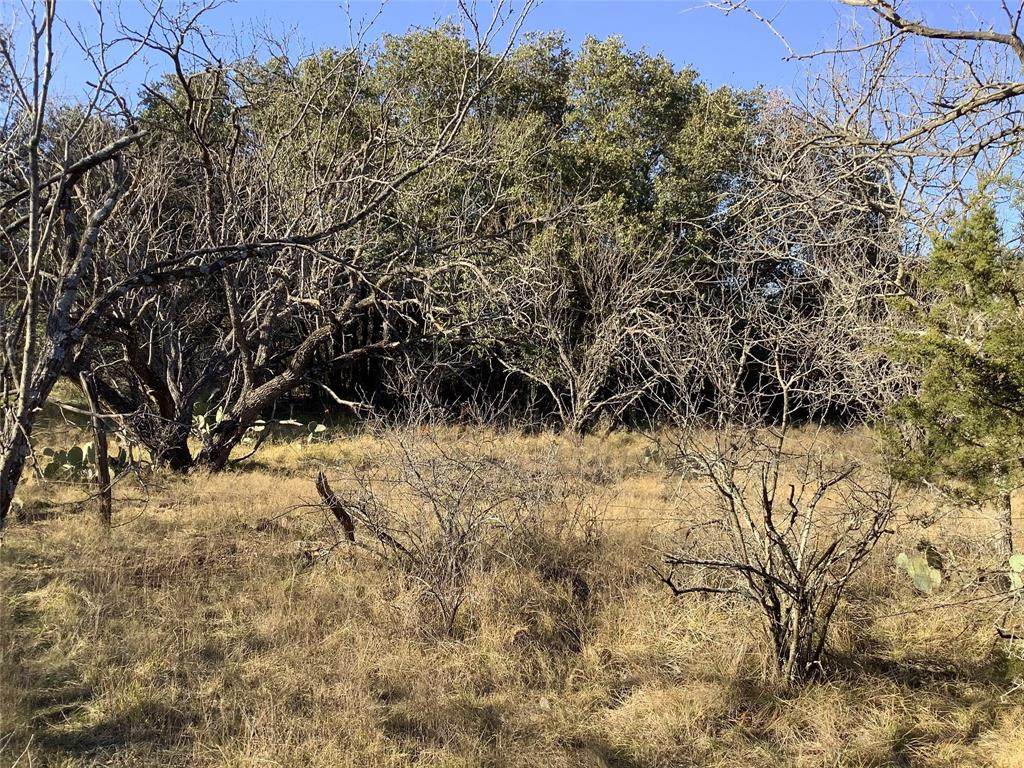5 acres TBD Highway 6 - Photo 1