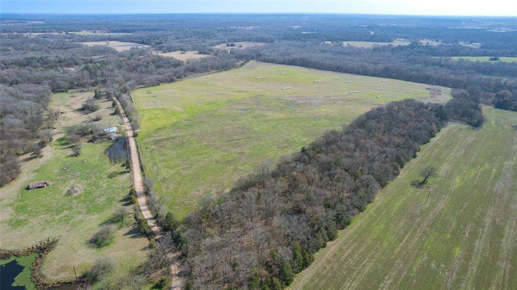 80ac Lot2 County Road 2376 - Photo 1
