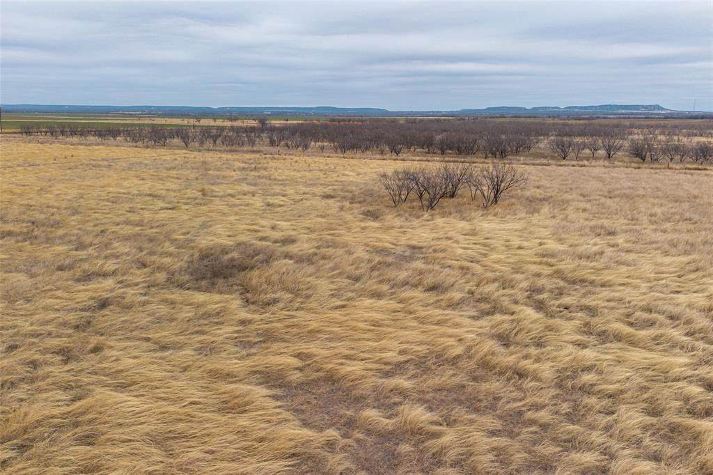 T4 County Road 204 - Photo 1