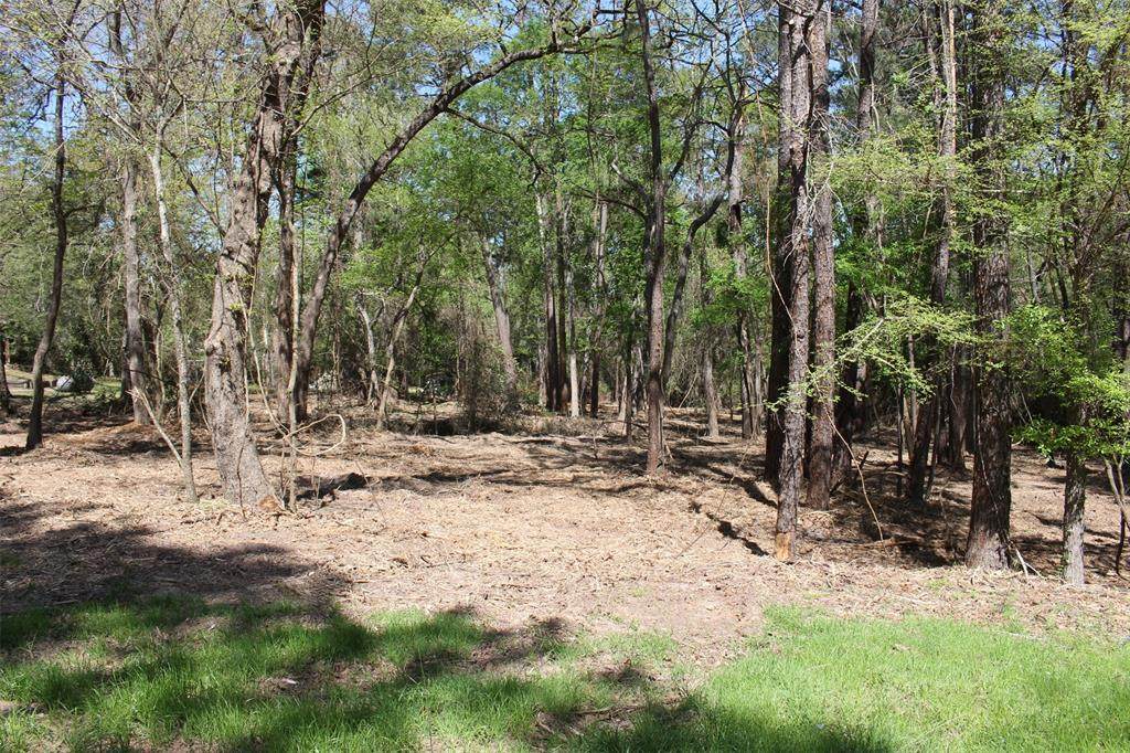 145 Crossed Arrows Road - Photo 1