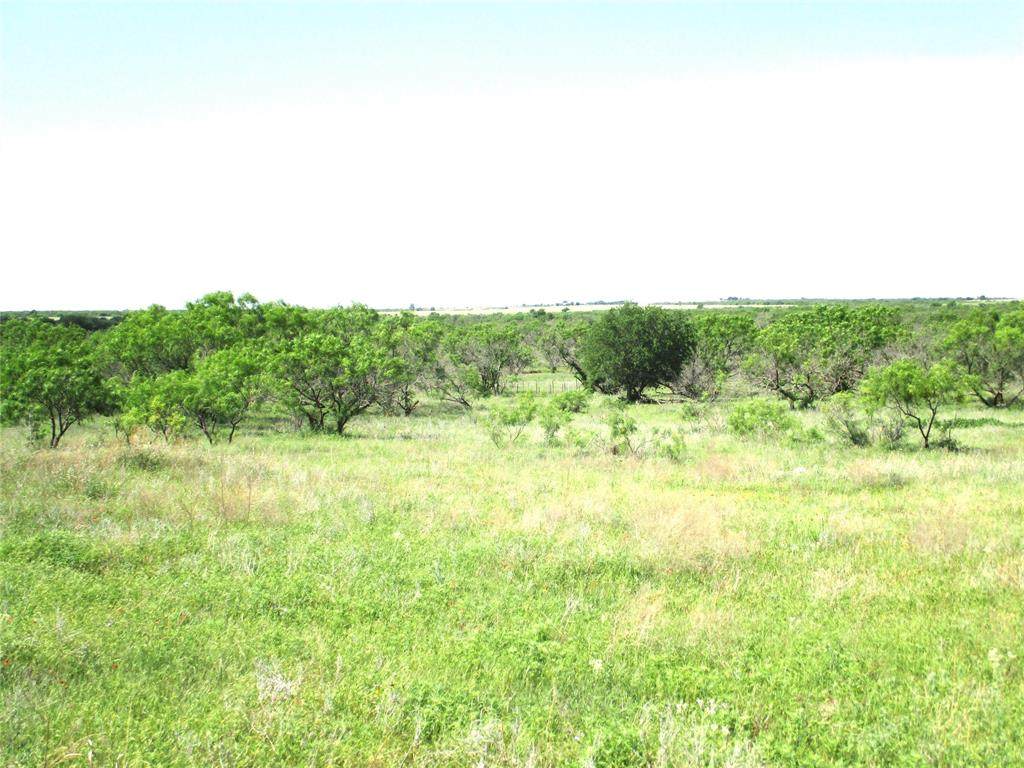 TR 3 Boren - Photo 1