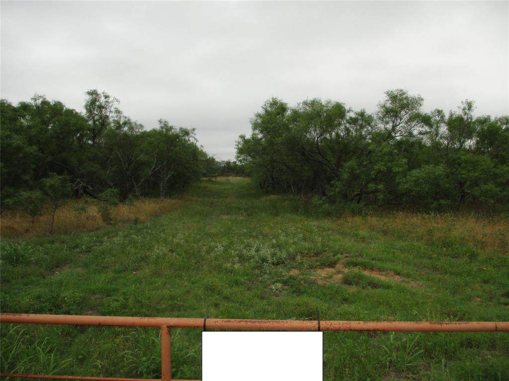 Lot 6 Old Joy Shannon - Photo 1