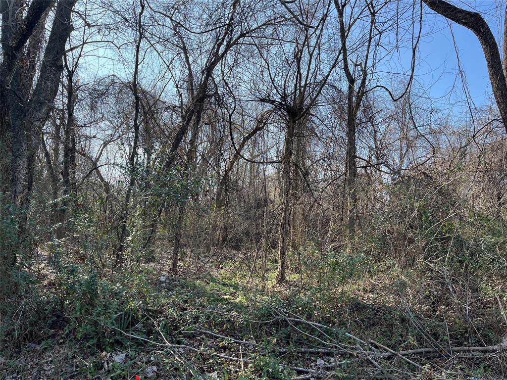 630 Grove Street - Photo 1