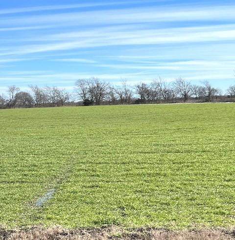 7.2AC Farm Road 824 - Photo 1