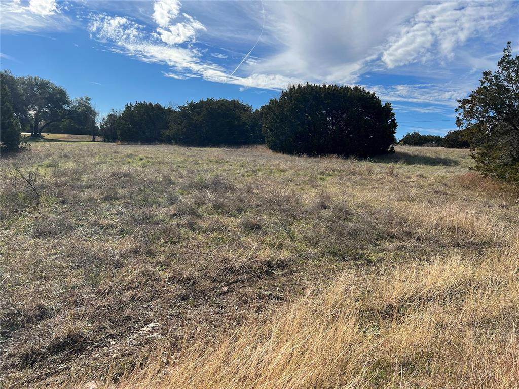 19063 White Bluff Drive - Photo 1