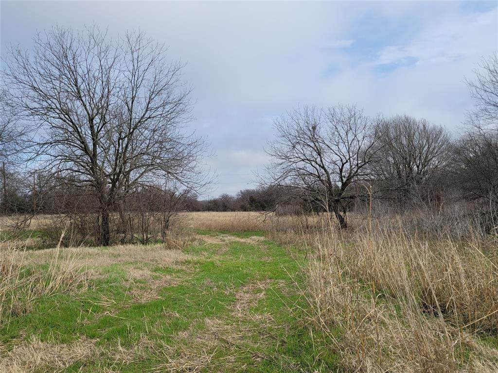 2232 County Road 415 - Photo 1