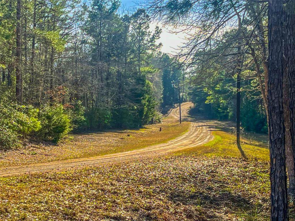 0 Private Road 8344 - Photo 1