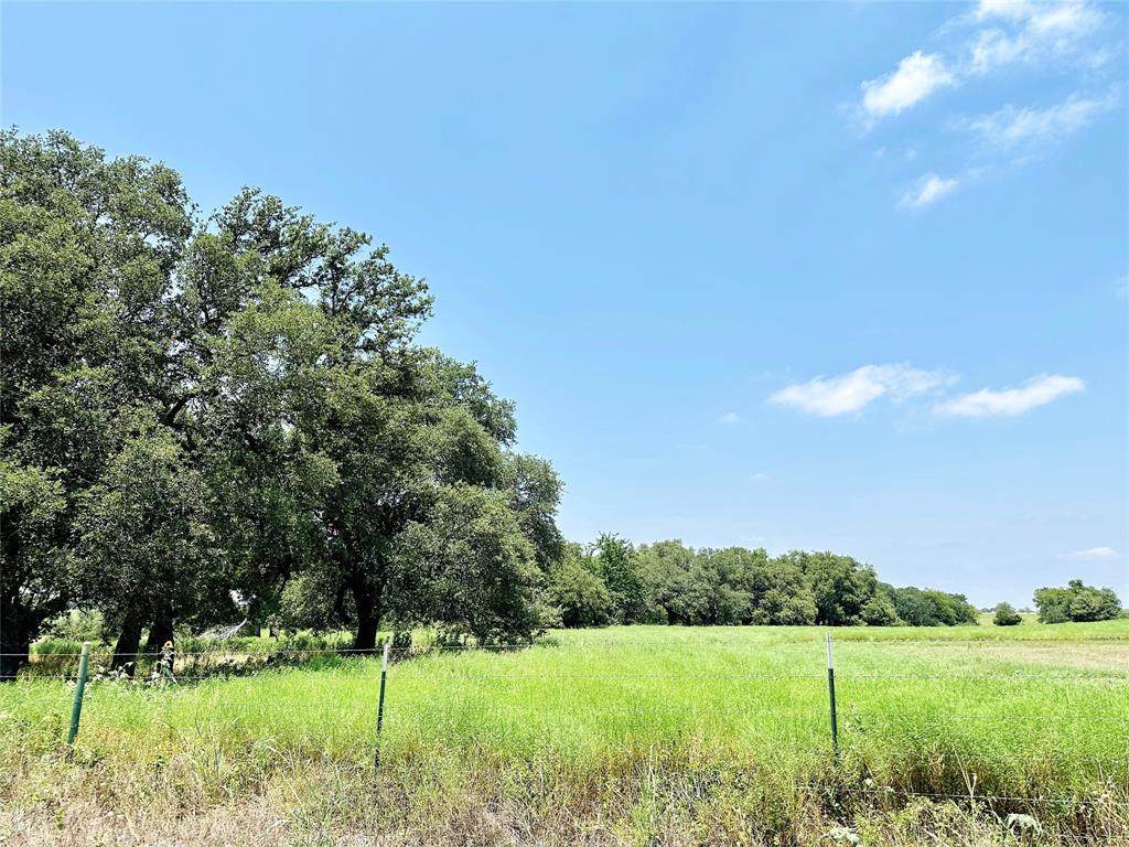 Deer Haven Tract 4 County Road 265 - Photo 1