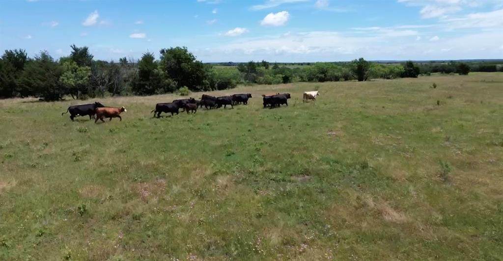 7.5 acres Wright & Keyes Road - Photo 1