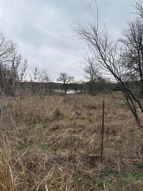 0 Palo Pinto - Photo 1