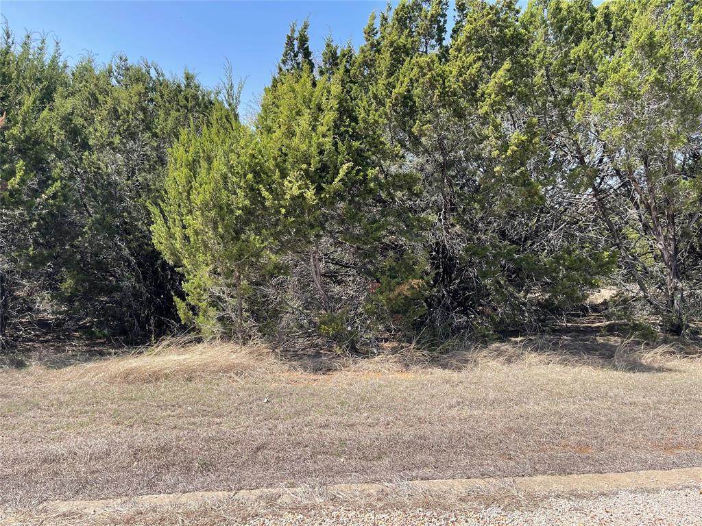 39027 Cedar Trail - Photo 1