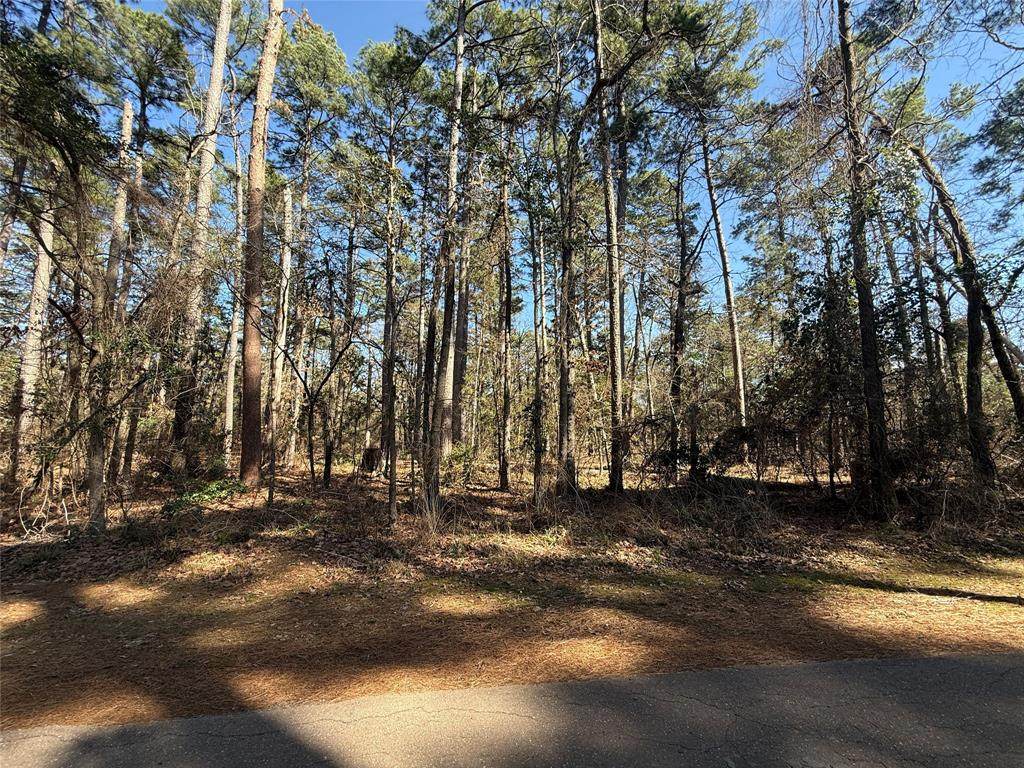 Lot 3 Private Road 8573 - Photo 1