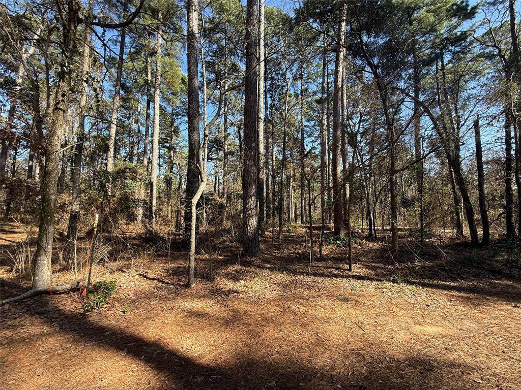 https://bt-photos.global.ssl.fastly.net/ntreis/orig_boomver_1_20873276-2.jpg