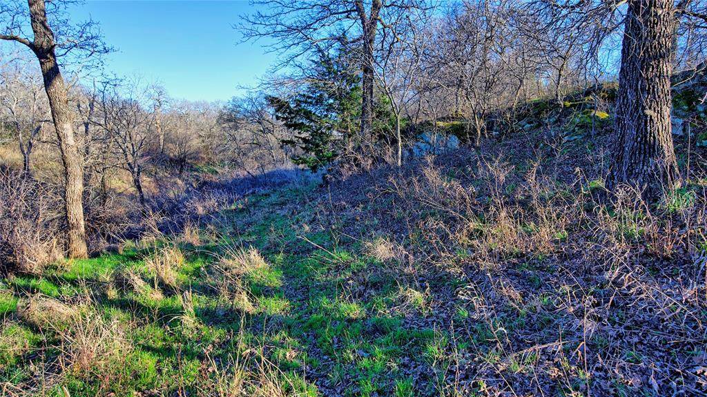 TBD Longbranch Road - Photo 1