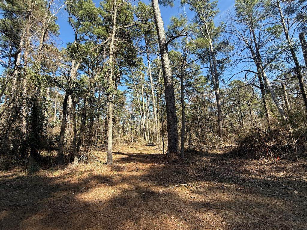Lot 2 Private Road 8573 - Photo 1