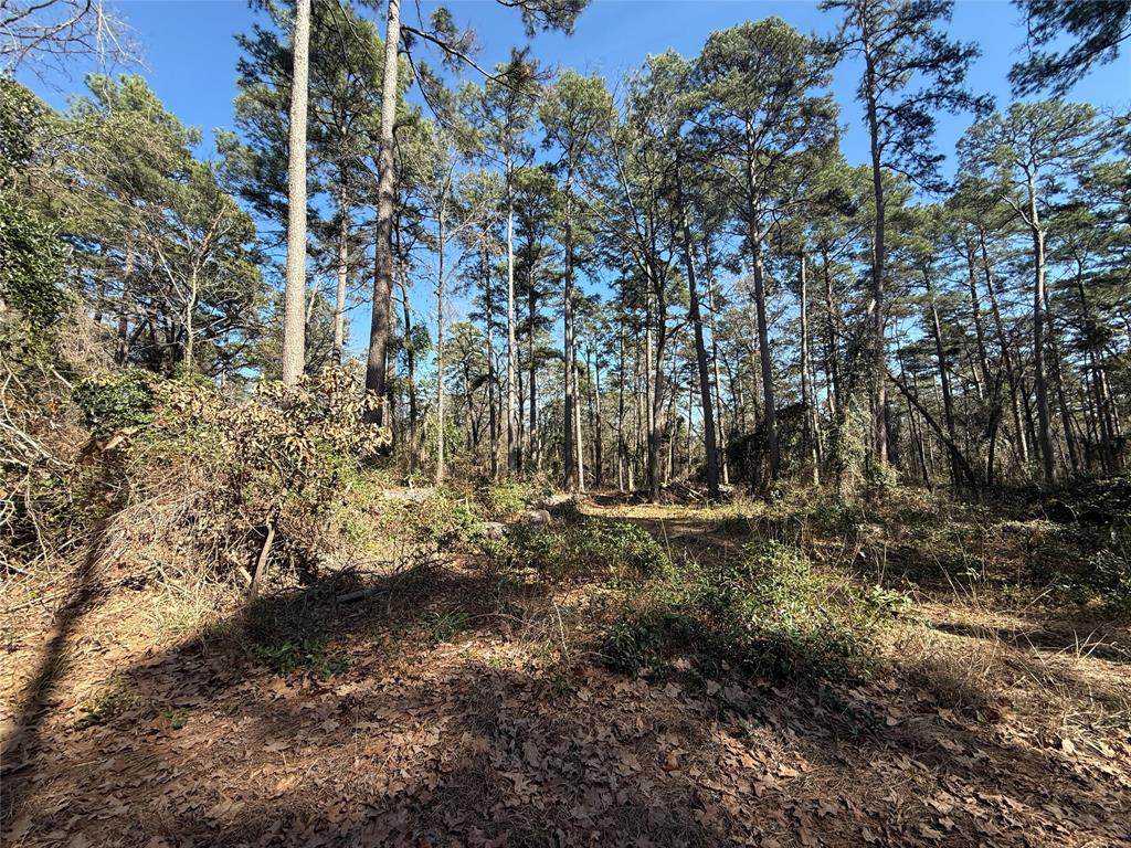 Lot 4 Private Road 8573 - Photo 1