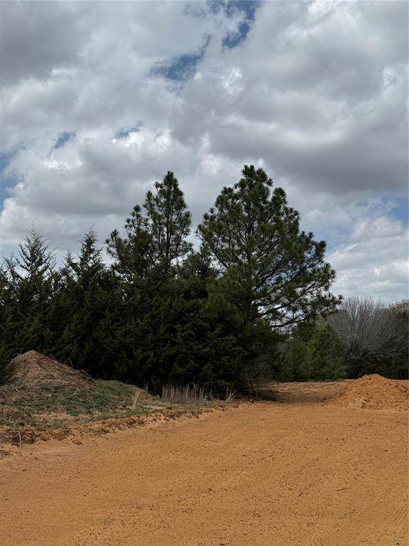 3552 Fm 3136 Lot 10 - Photo 1