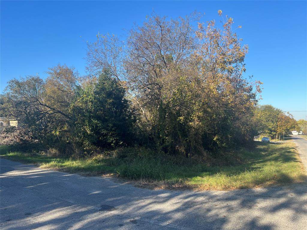 3809 Hedge Row Street - Photo 1