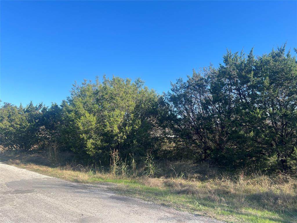 2921 Blackjack Lane - Photo 1