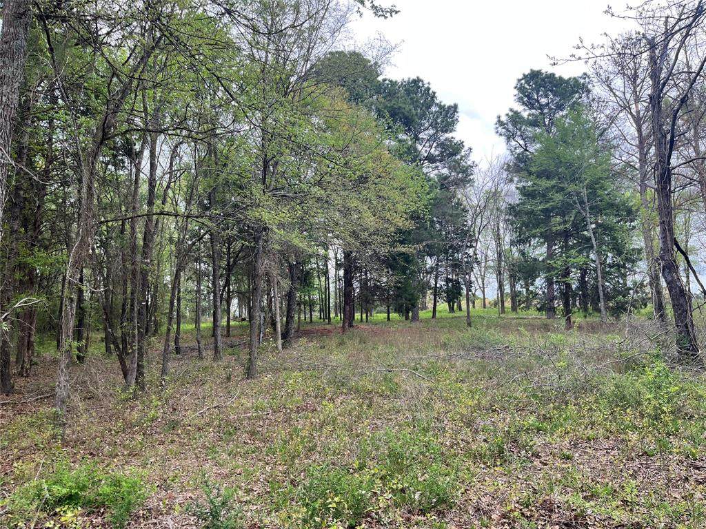 5392 Grand View Drive - Photo 1