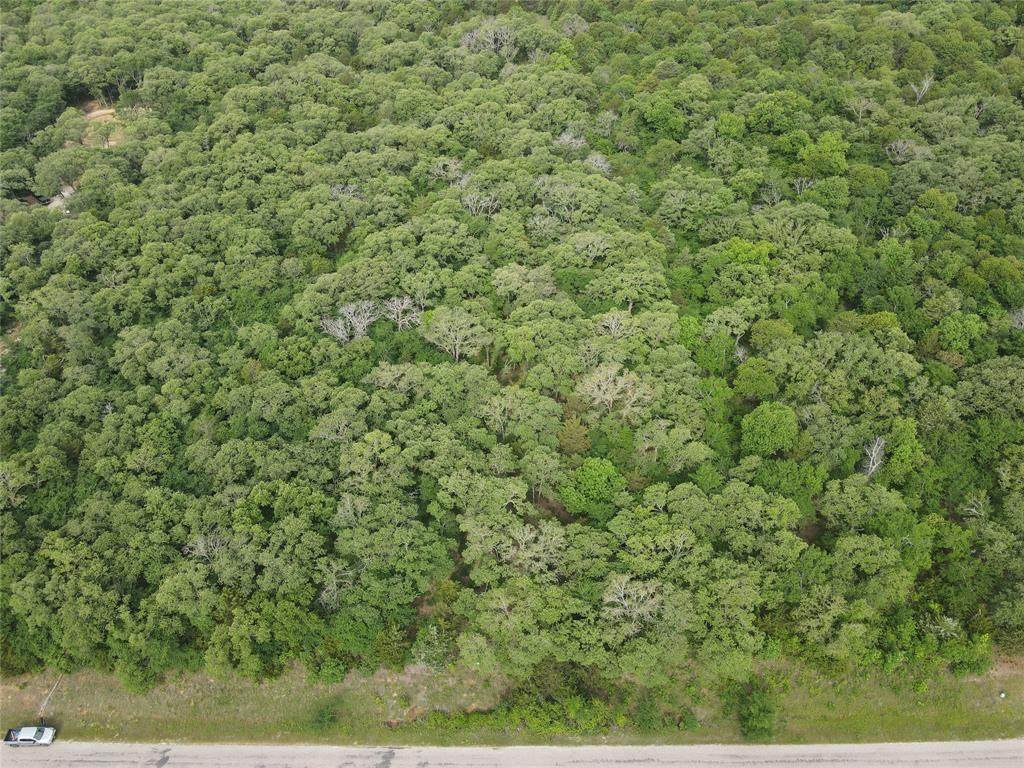Lot 92 County Road 2255 - Photo 1
