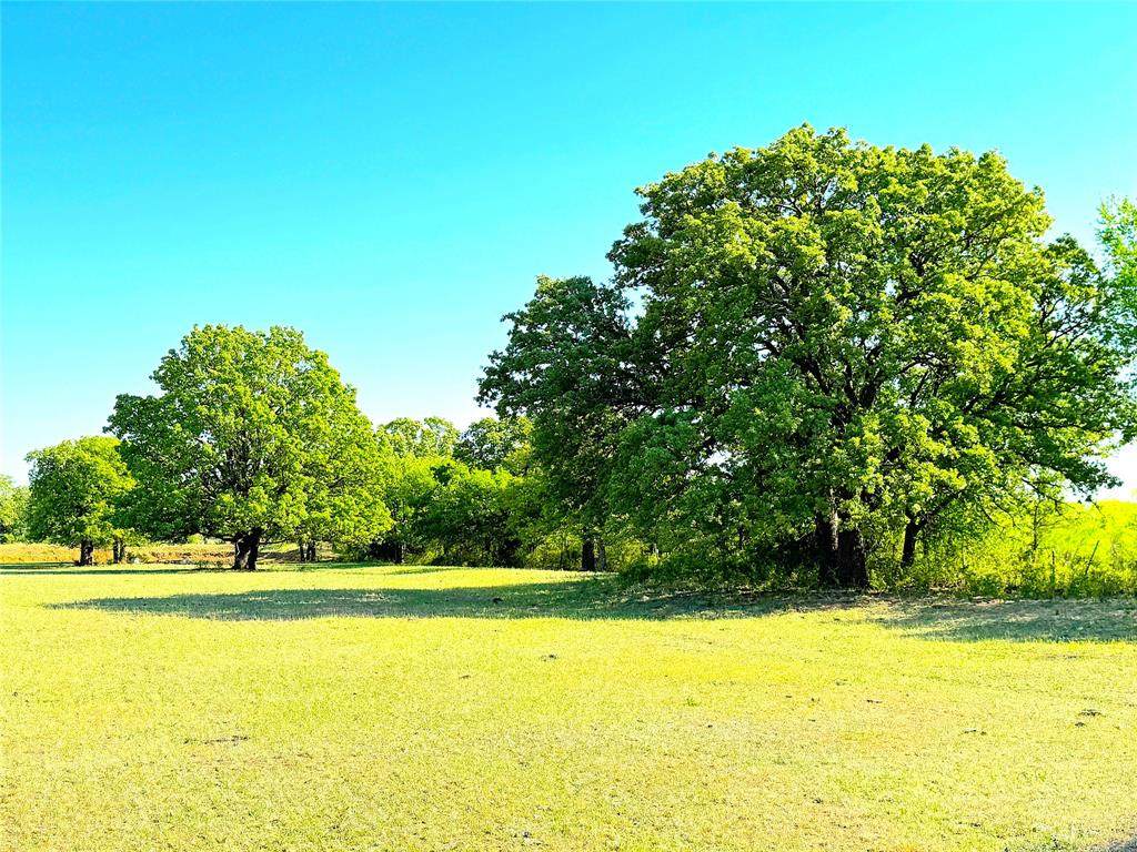 TBD Mcmillan Road - Photo 1
