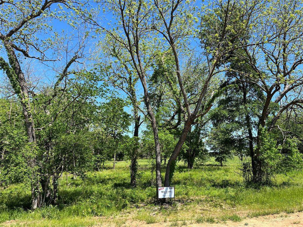 345 Wildflower Way - Photo 1