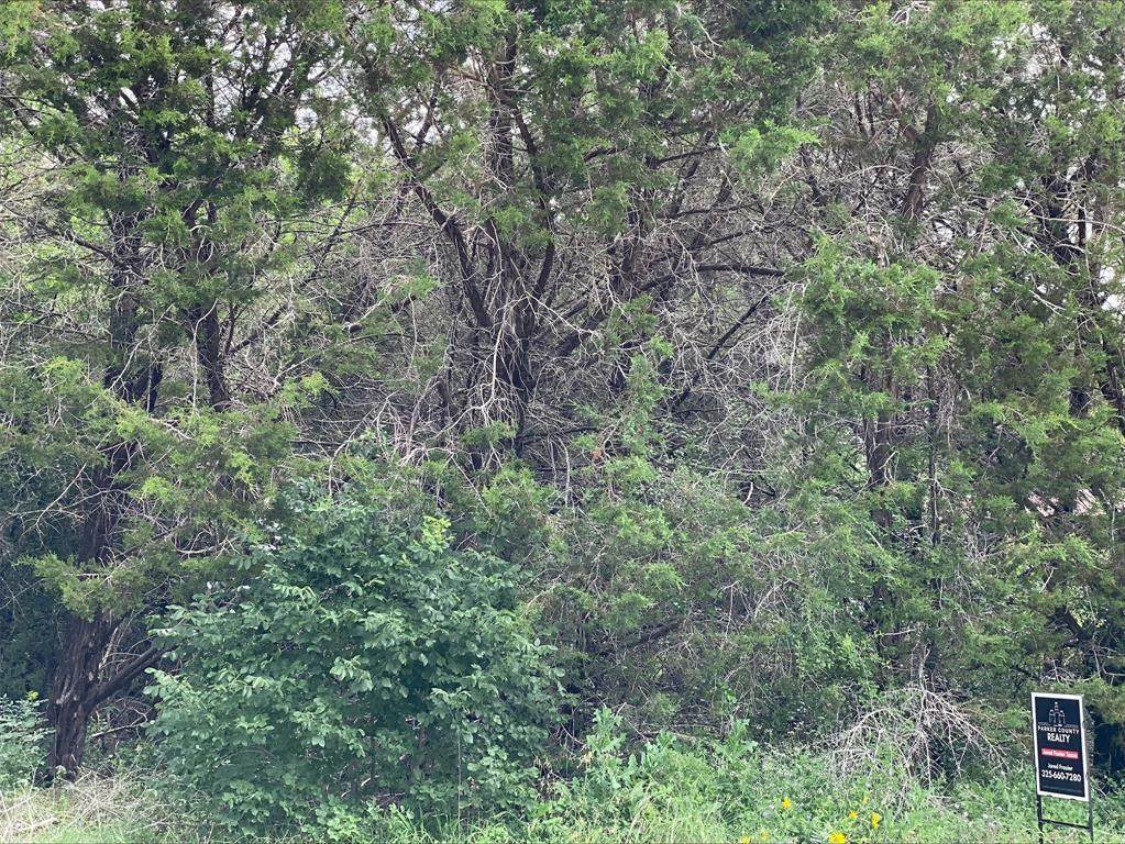 TBD Western Lake Drive - Photo 1