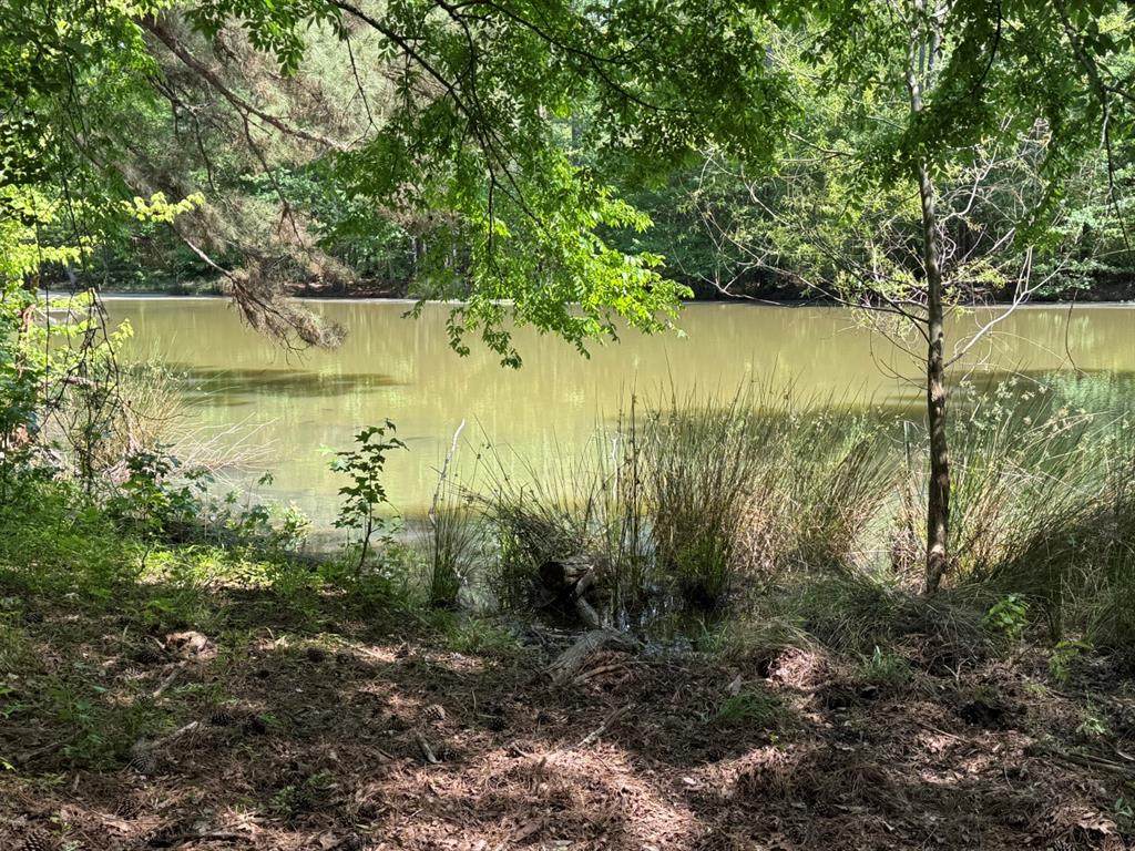 16649 County Road 4252D - Photo 1