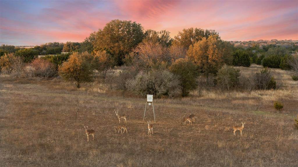 1517 Fm 2490 - Photo 1