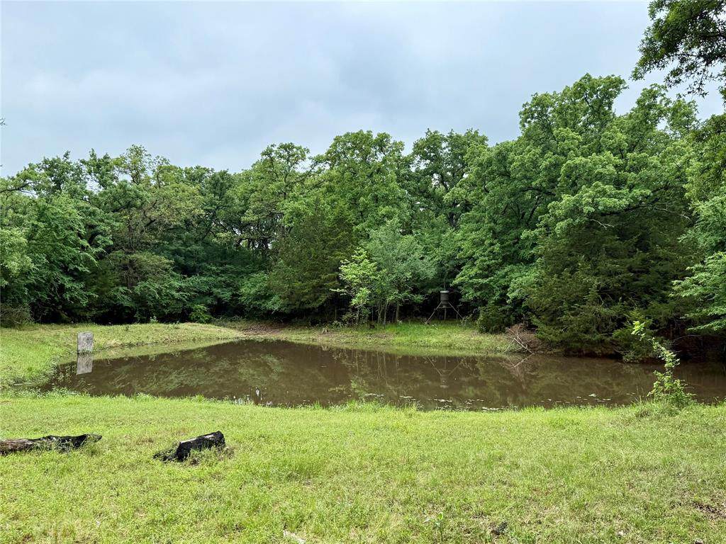 TBD County Road 203 - Photo 1