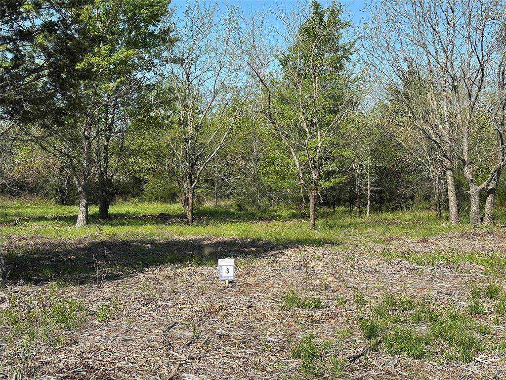 Tract 3 Farm To Market 1743 - Photo 1