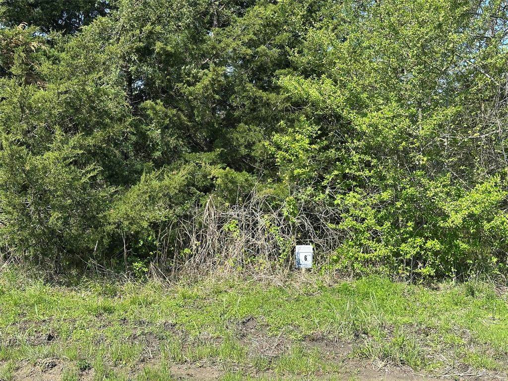 Tract 6 Farm To Market 1743 - Photo 1