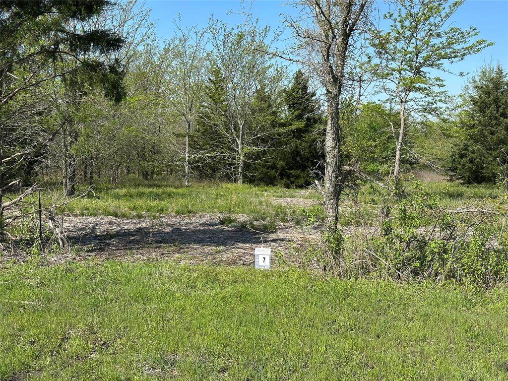 Tract 7 Farm To Market 1743 - Photo 1