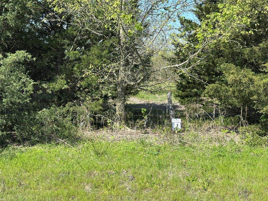 Tract 8 Farm To Market 1743 - Photo 1