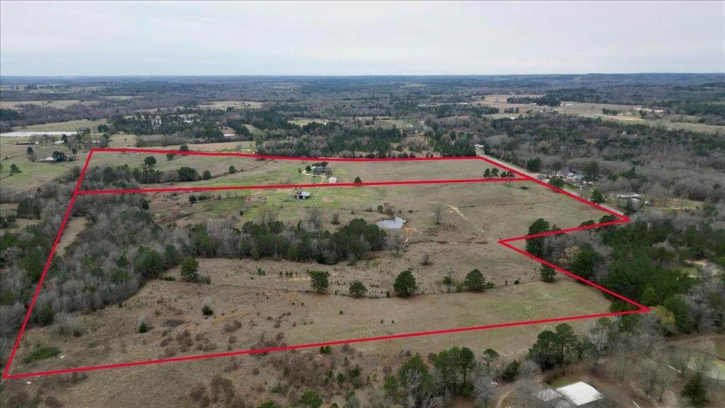 11817 County Road 339 - Photo 1