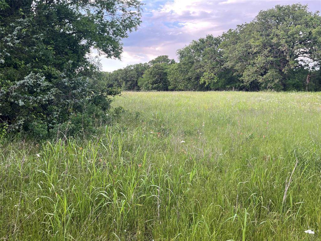 Tract 1 Fm 3043 - Photo 1