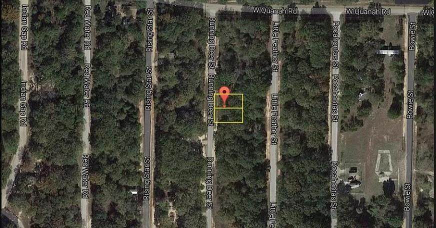 117 Running Deer Road - Photo 1