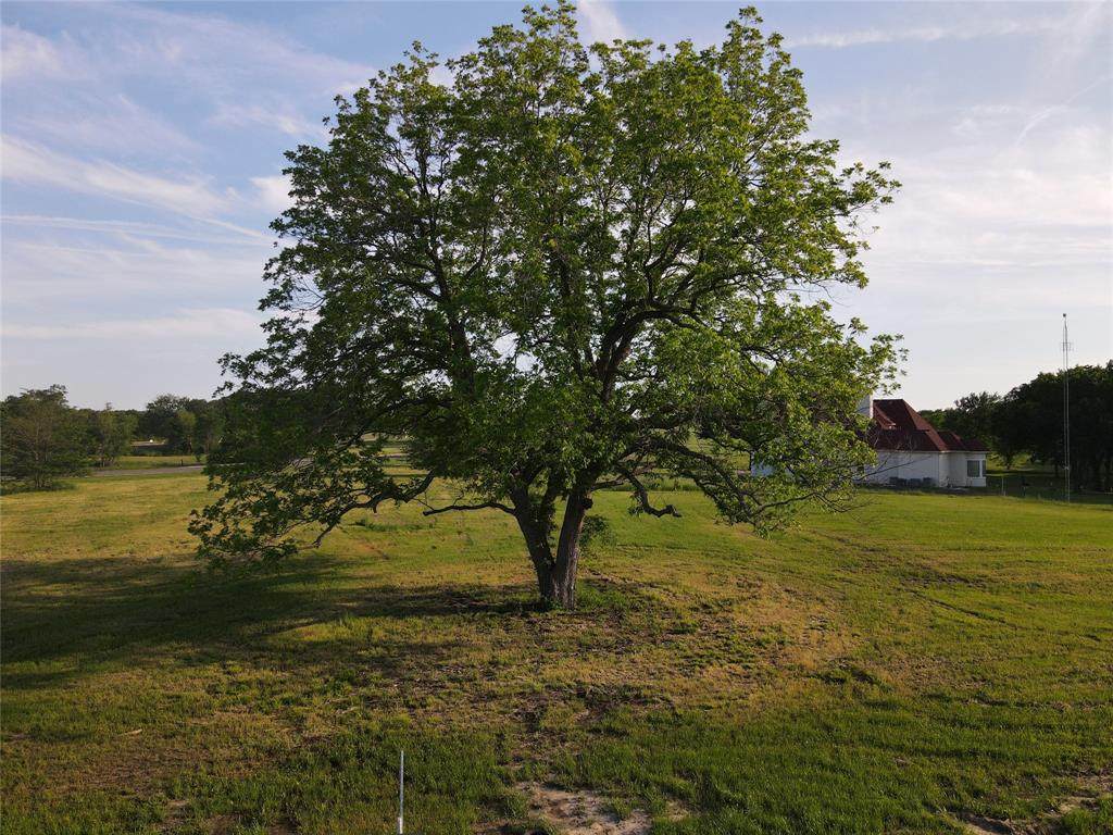 290 Wildflower Way - Photo 1