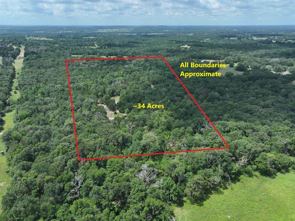 TBD Cr 431 Road - Photo 1