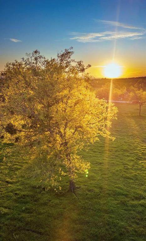 1019 Oak Bend Lane - Photo 1